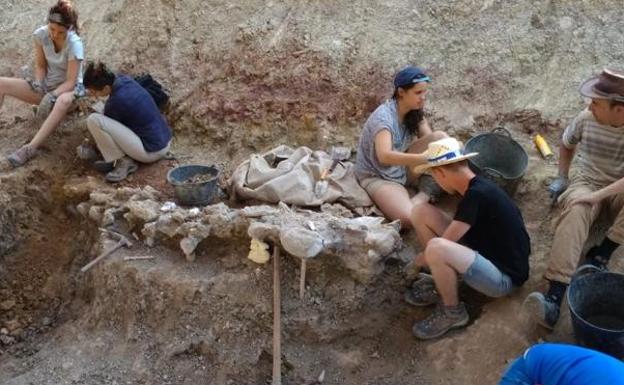 La campaña de excavaciones paleontológicas de Torrelara arrancarán el 15 de julio