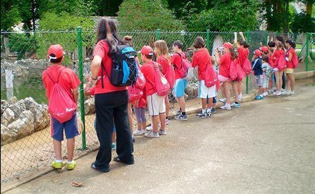 La Fundación Gutiérrez Manrique organiza el programa ambiental «Verano con ambiente» en el medio rural burgalés