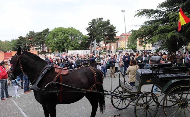 Paseo Taurino frente al «acoso feroz» que sufre la tauromaquia, que reivindica su fuerza cultural y económica