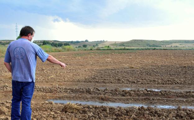 Burgos y Palencia se rebelan contra las macrogranjas porcinas