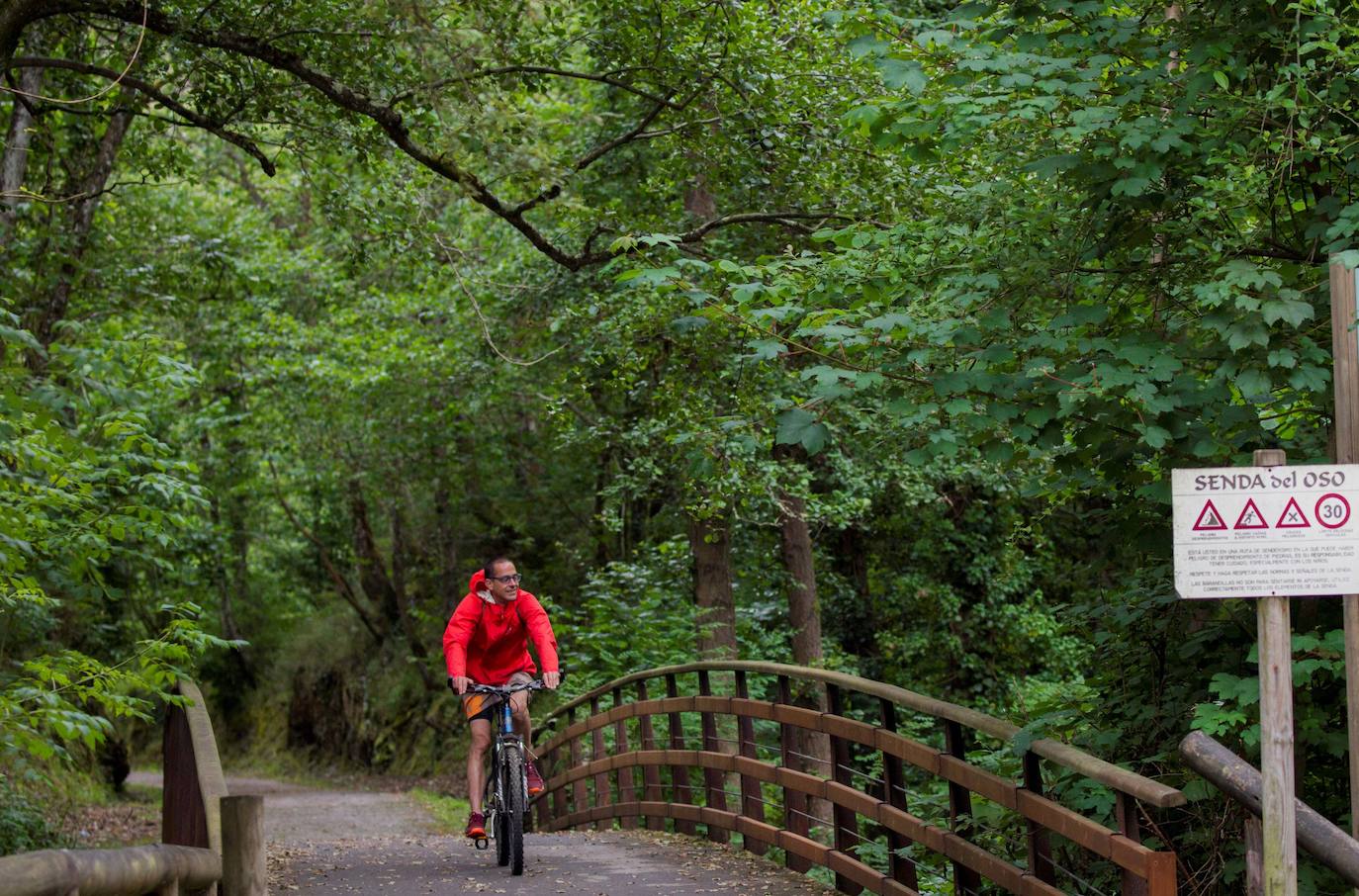 Los españoles viajarán en su coche y a destinos de interior y naturaleza