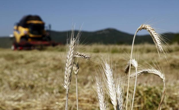 El campo burgalés suma en mayo 1.005 afiliados más que los que presentaba abril