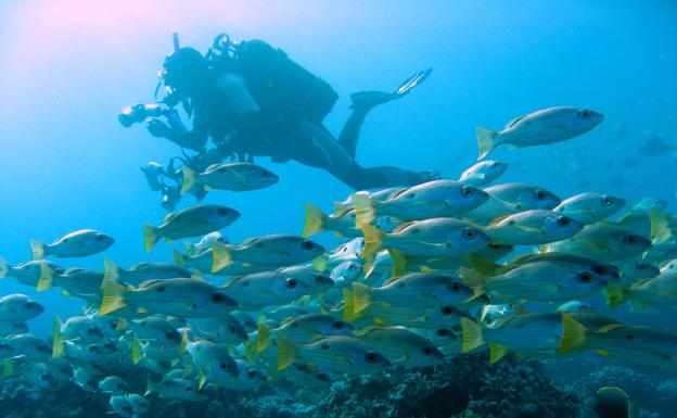 «El gran enemigo de la pesca es la sobrepesca, no las reservas marinas»