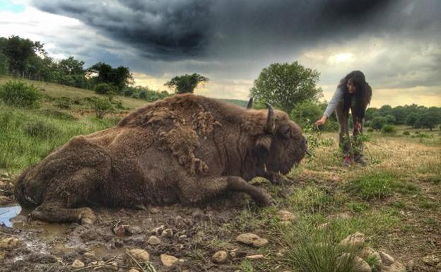 La reserva Paleolítico Vivo incorpora una zona dedicada al Neolítico