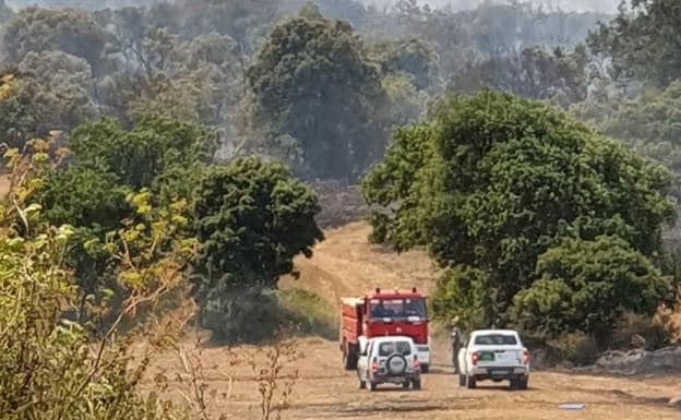 El incendio de Junta de Traslaloma habría devorado 100 hectáreas de rastrojo, pasto y masa forestal