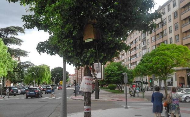 Los Bomberos acuden a 11 avisos por enjambres en la provincia en una sola jornada