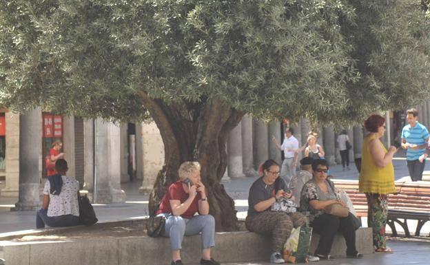 La Junta recuerda algunos consejos para protegerse del calor, que causó una muerte en Burgos en 2019