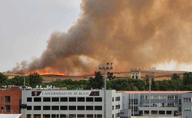 El fuego provocado por un rayo en Villagonzalo calcina 30 hectáreas de terreno agrícola