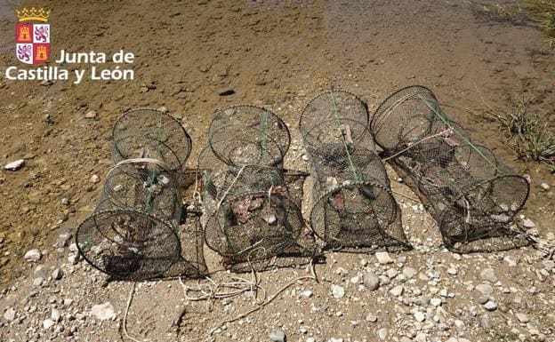 Sorprenden a un pescador cogiendo cangrejos sin licencia en La Piedra