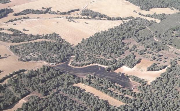 Un rayo provoca un fuego en Peñaranda de Duero, que calcina 1,80 hectáreas de sabinar y cereal