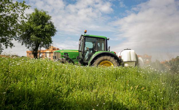 El sector primario cerró en junio 787 contratos en Burgos, la tercera provincia con mayor volumen de Castilla y León