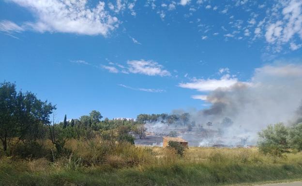 Los incendios arrasan 334,8 hectáreas forestales en Burgos en lo que va de año