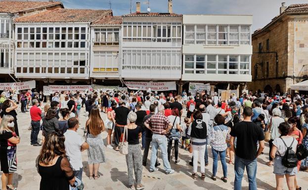 Más de 800 personas se movilizan contra las macrogranjas de cerdos