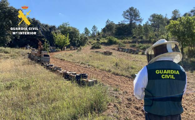 La Guardia Civil detiene en Montes de Oca al presunto autor del robo de numerosas colmenas en Burgos y Palencia