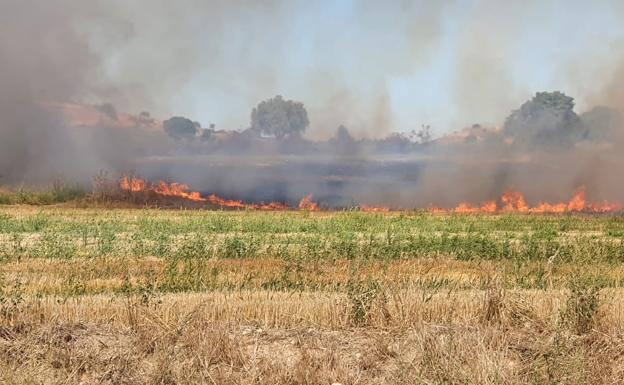 Susto en Santa Cecilia por un fuego con varios focos originados en los entornos de la vía del tren