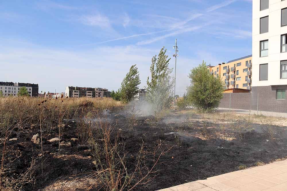 Incendio de maleza en Fuentecillas