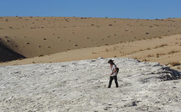 Hallan la evidencia más antigua de humanos en Arabia hace 120.000 años