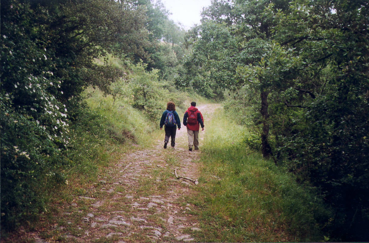 Los promotores de turismo rural presagian «un mal otoño» en la provincia de Burgos