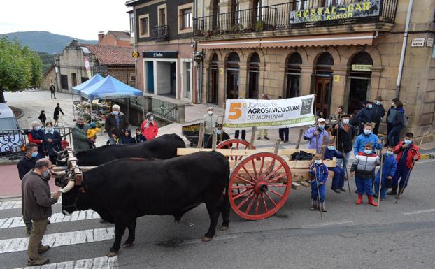 El huerto-escuela comparte protagonismo con las vacas serranas en las V Jornadas de Agrosilvicultura