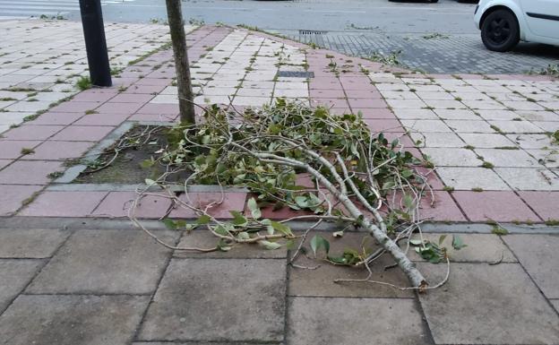 La borrasca 'Álex' deja vientos de hasta 90 km/h en Burgos