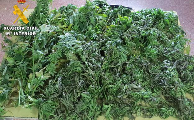 Dos detenidos en Miranda al ser descubiertos transportando tres kilos de marihuana