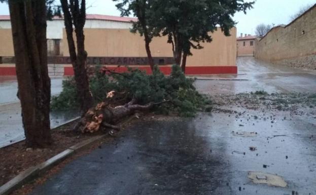 Castilla y León anota 120 incidentes por la borrasca sin daños personales