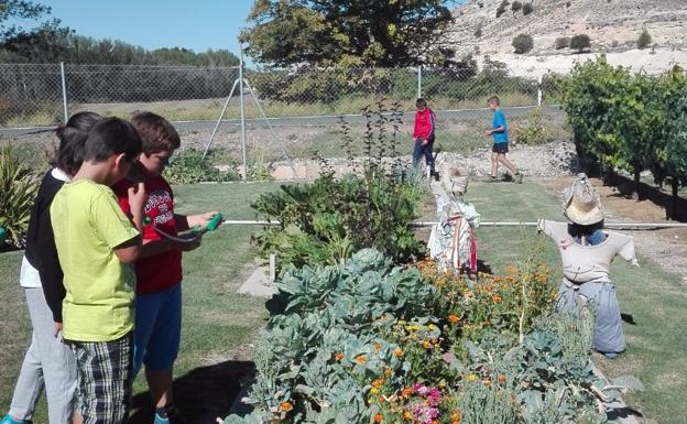 El colegio rural burgalés que demuestra que otra forma de enseñar es posible