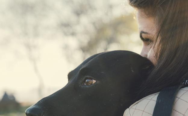 Víctimas de violencia machista rechazan casas de acogida al no admitir a sus animales