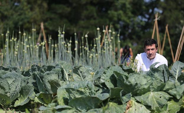 Las estrellas Michelin bajan a la tierra