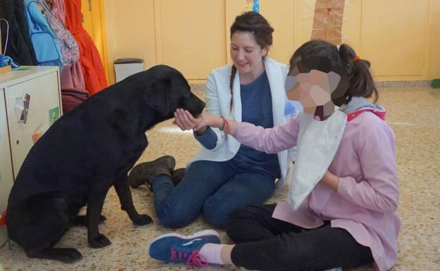 Sabia, una terapeuta de cuatro patas en Aranda de Duero