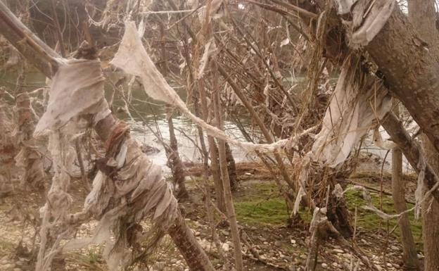 Izquierda Unida Miranda solicita soluciones ante la acumulación de residuos en las orillas del río Ebro