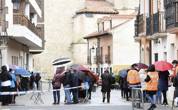 Cinco positivos en los cribados de Burgos, Aranda, Huerta y Silos