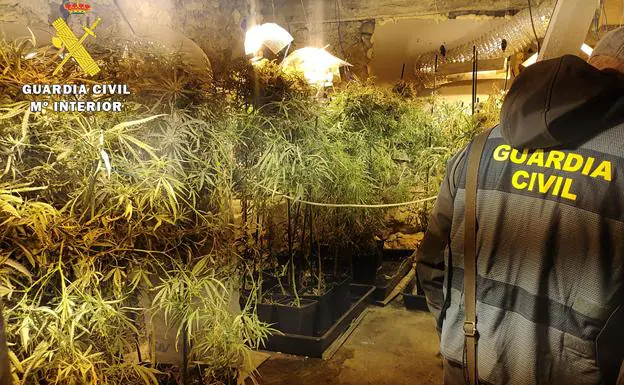 Desmantelada una plantación 'indoor' de marihuana con 154 plantas en el Valle de Mena