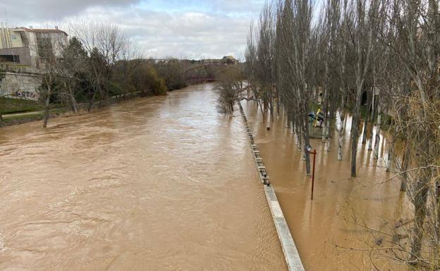 El Duero acumula siete de los avisos de la CHD, con una estación por encima de niveles de alarma