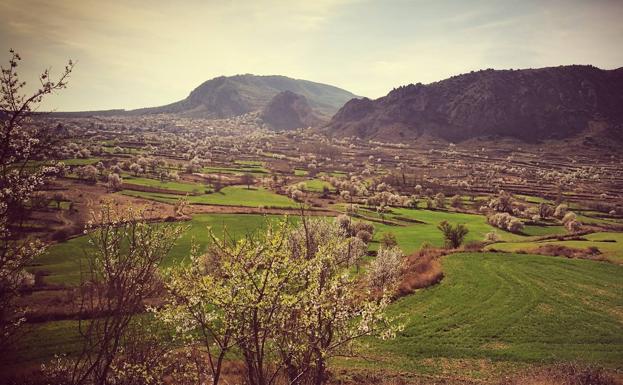 La floración de los almendros tiñe Poza de la Sal de blanco