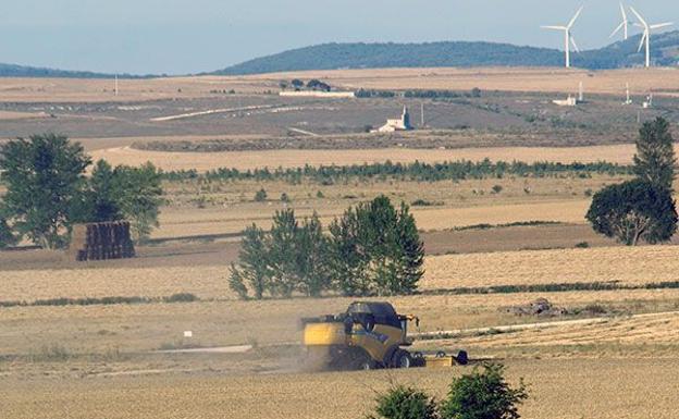 El PSOE exige a la Diputación que salde la deuda que mantiene con la Cámara Agraria