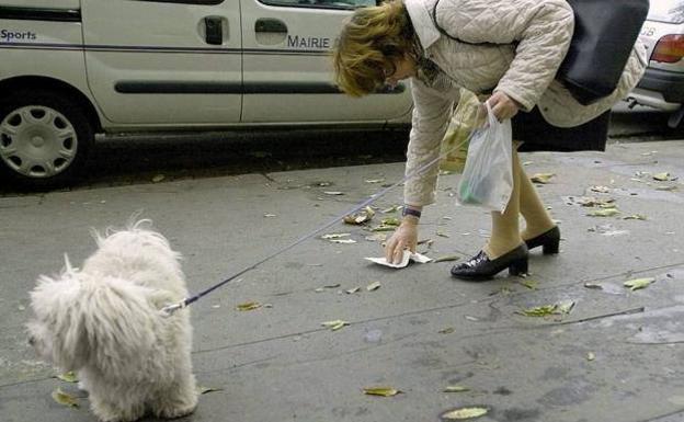 Falta de civismo perruno