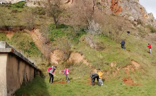 Una plantación de 41 almendros recuerda la figura de Félix Rodríguez de la Fuente