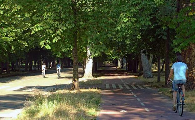 Burgos celebra el Día del Árbol con actividades en los parques más emblemáticos