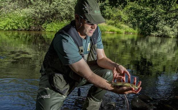 El sábado 27 comienza la temporada de pesca en las aguas trucheras de Burgos