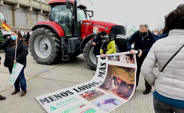 Una caravana de ganaderos toma las calles de Valladolid para exigir la retirada de la protección de lobo