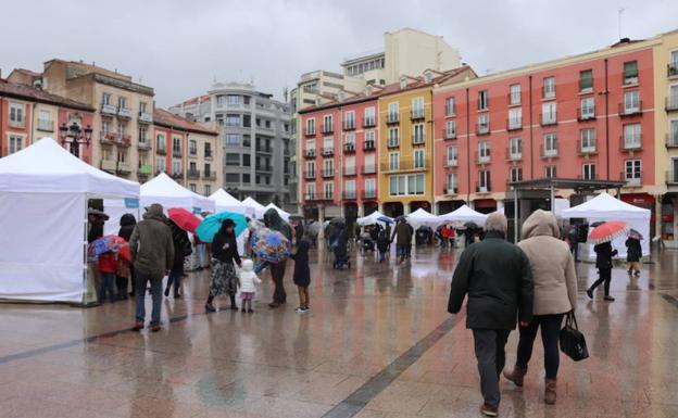 Los libros volverán a salir a la calle este 23 de abril