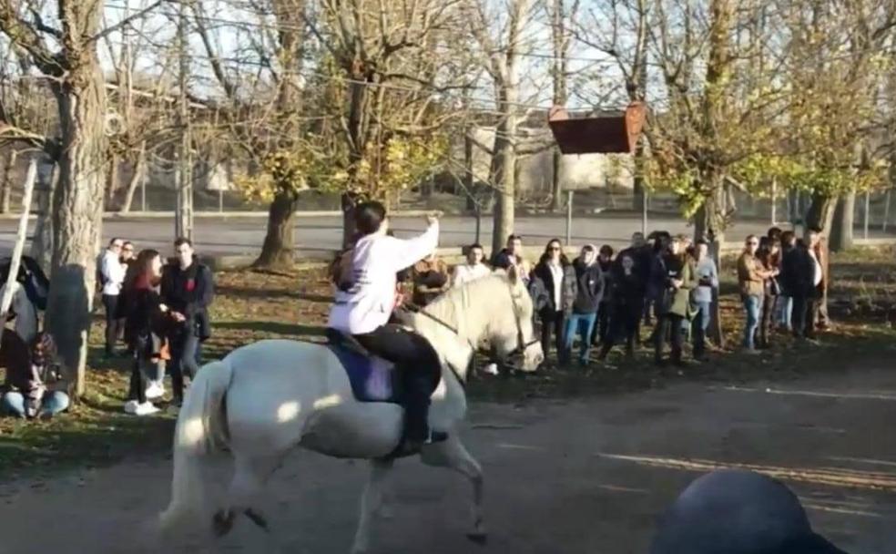 Belver de los Montes: la habilidad de los quintos en una exhibición a caballo