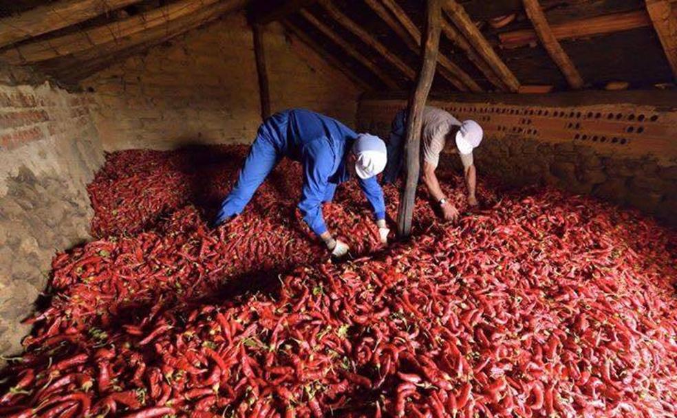 Candeleda: de las rondeñas de agosto a la fiesta de Retumbaleda