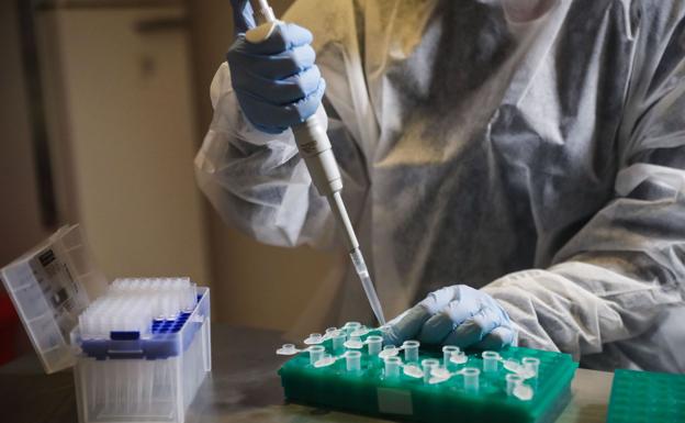 Burgos se asoma al fin del estado de alarma tras detectar 118 positivos en la última jornada