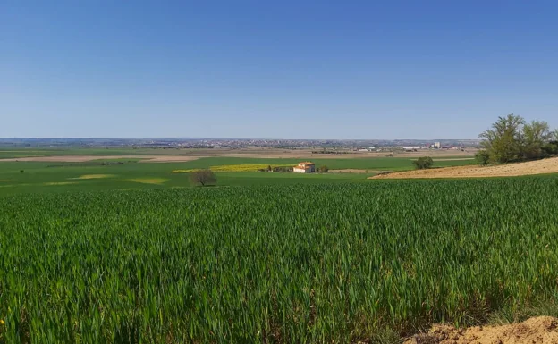 Castilla y León, la tercera comunidad en empresas agroalimentarias con un 10% del total