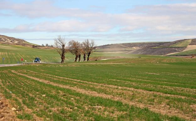 Tractores a las calles burgalesas para limitar la PAC a los agricultores a título principal