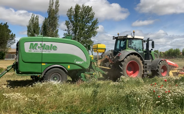 La convocatoria de ayudas del Plan Renove se hará la primera quincena de junio