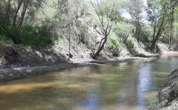 La Confederación invierte 30.000 euros en el cauce del río Adaja a su paso por Arévalo