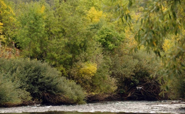 Los embalses de la cuenca del Duero pierden un 1% de agua con respecto a hace una semana